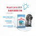 皇家 - SHN 小型幼犬配方 (8kg) 狗糧 ROYAL CANIN